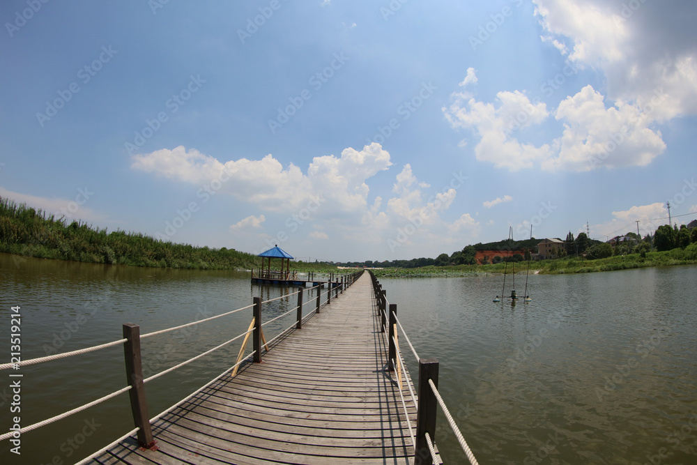 Obraz premium Chinese lotus pond