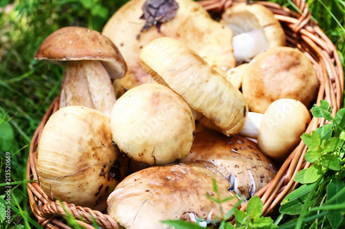 Wicker basket full of mushrooms.