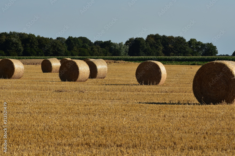 Strohballen