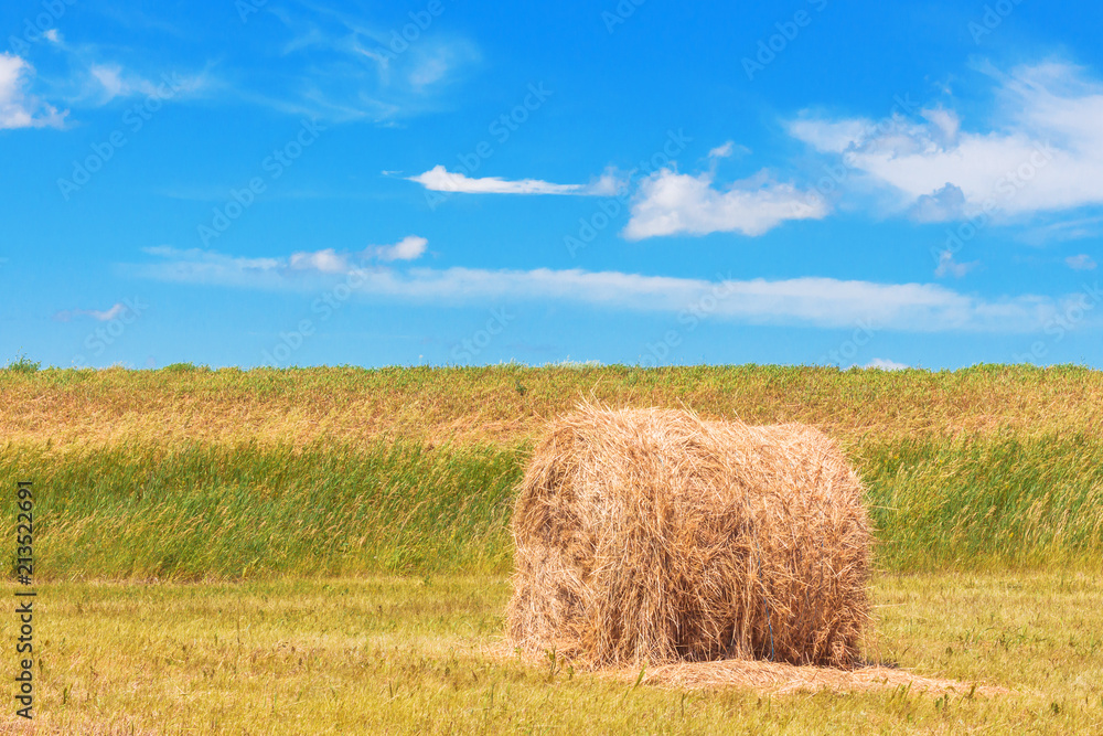 Hay bale. Agriculture field with sky. Straw on meadow. Wheat yellow golden harvest in summer. Concept Grain crop, harvesting.