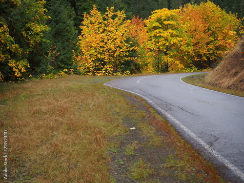 Bright colored leaves in their fall colors 