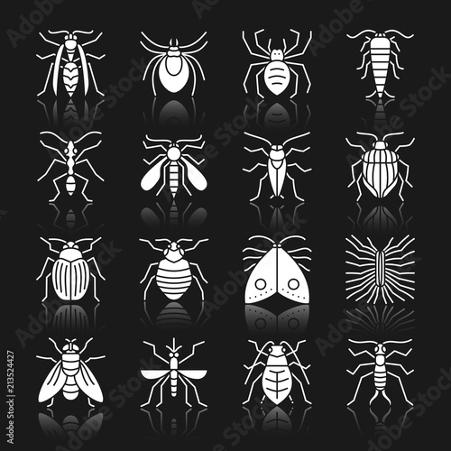 Insect white silhouette with reflection icon set