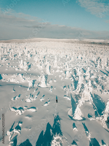 Winter wonderland drone shot