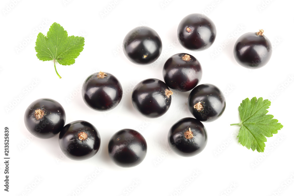 black currant with leaf isolated on white background. Top view. Flat lay pattern black currant with leaf isolated on white background. Top view. Flat lay pattern