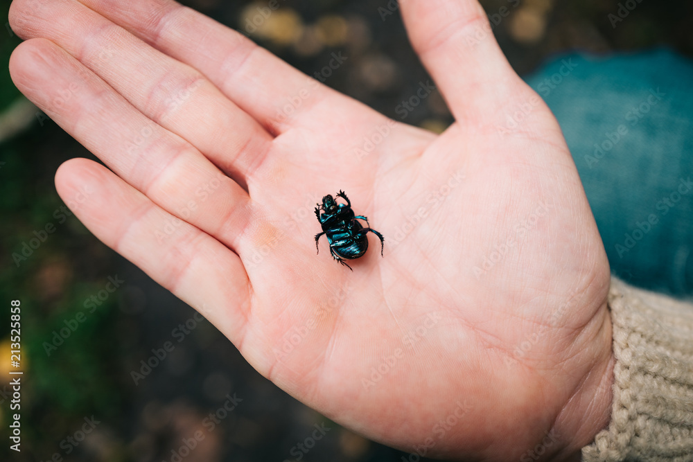 Woman holding dead beetle in her hand