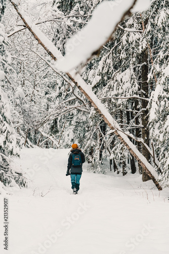 Winter walk in the forest