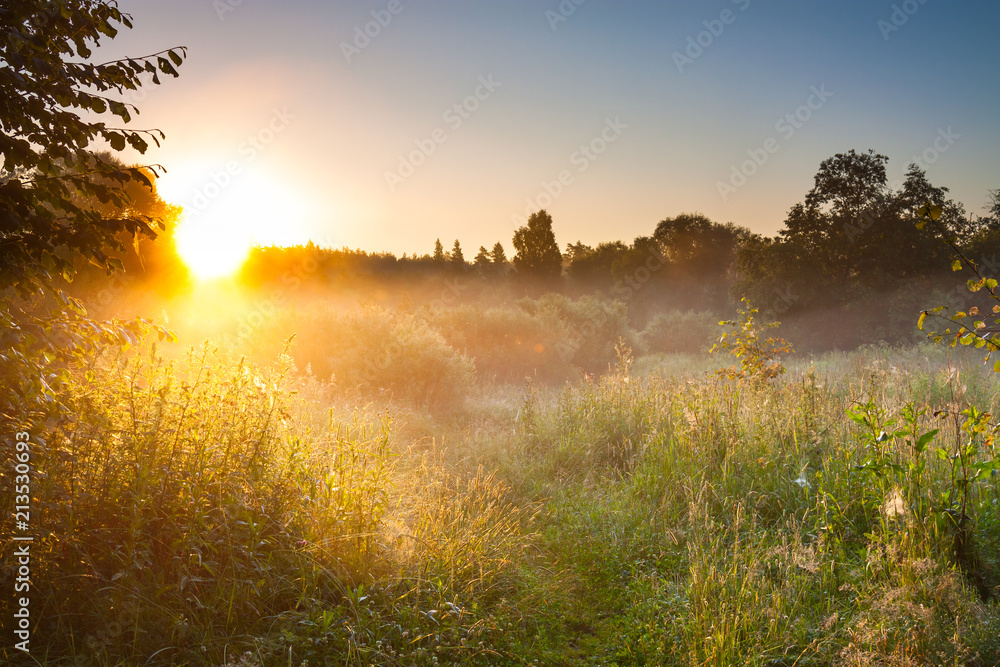 Naklejka premium summer landscape with sunrise and forest and meadow