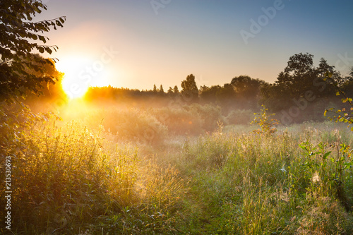 summer landscape with sunrise and forest and meadow photo