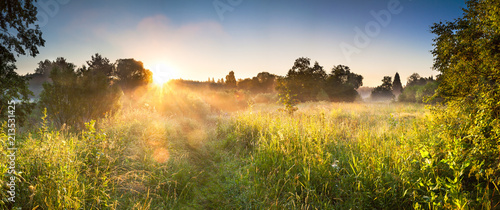 landscape panorama with sunrise and forest and meadow © yanikap
