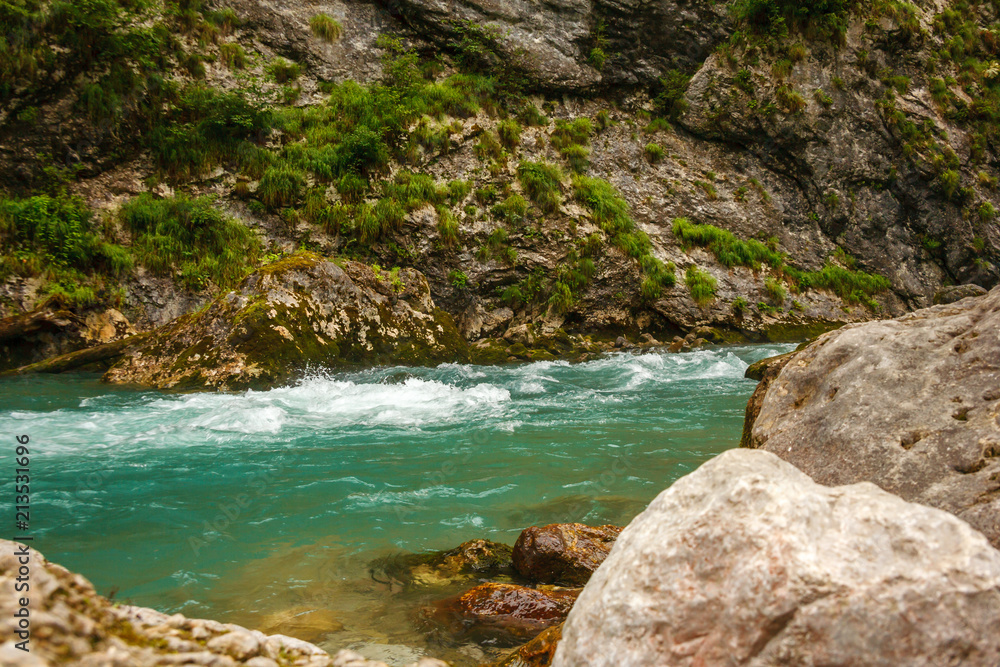 beautiful stormy mountain river between trees force of nature beautiful stormy mountain river between trees force of nature