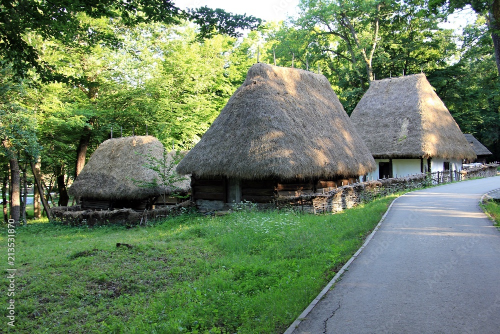 Traditional houses from Romania covered with straw
