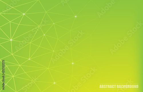 Abstract Polygonal Background with Connecting Lines