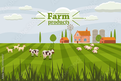 Rural cute landscape with farm and herd cows. Cartoon style, vector, isolated