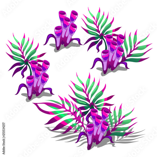 A colorful composition of marine sponges and algae. Bright inhabitants of the deep sea is isolated on a white background. The stage of growth. Vector illustration.