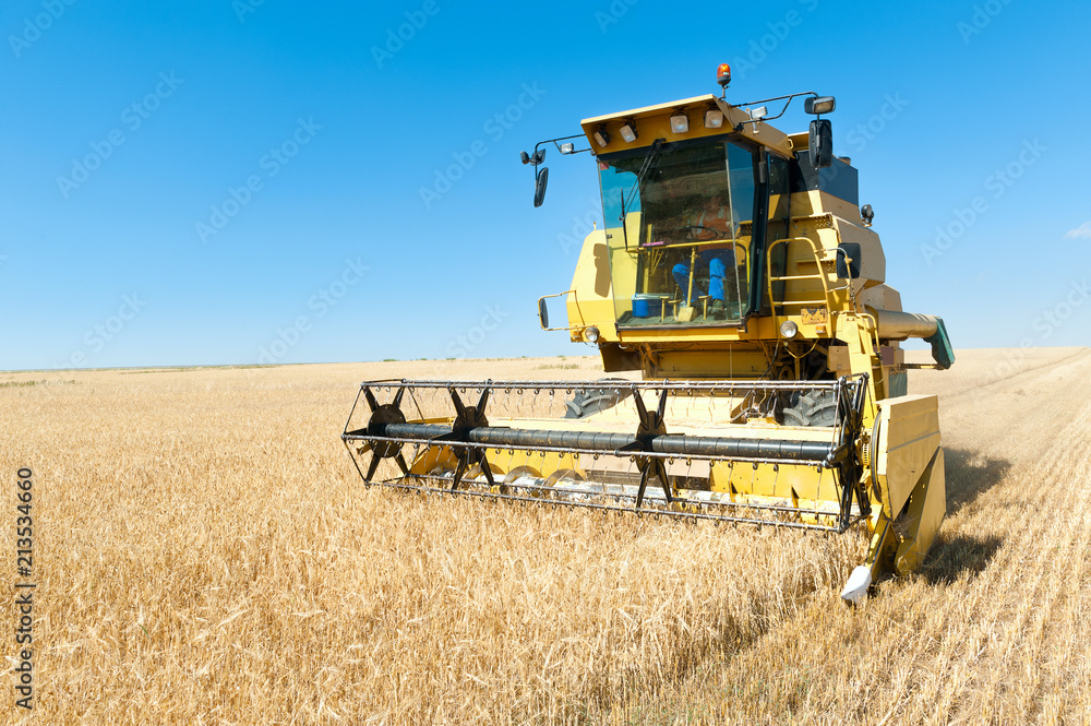 Obraz premium Cosechadora trabajando en la siega