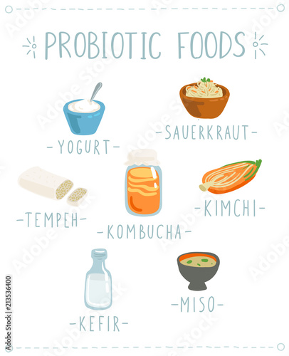 Vector set of hand drawn icons of natural Probiotic foods. Cartoon style illustration of gut healthy fermented products such as Kefir, Sauerkraut, Tempeh, Kombucha, Kimchi, Yogurt and Miso