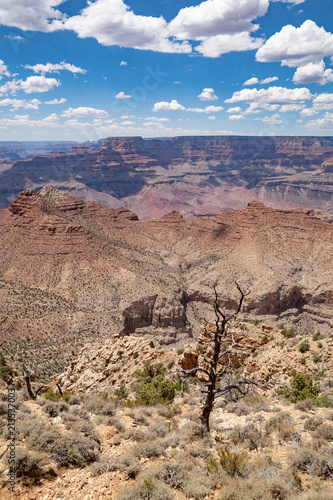 Grand Canyon nature footage in Arizona USA
