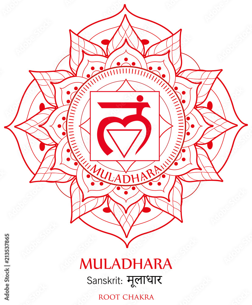 First chakra illustration vector of Muladhara