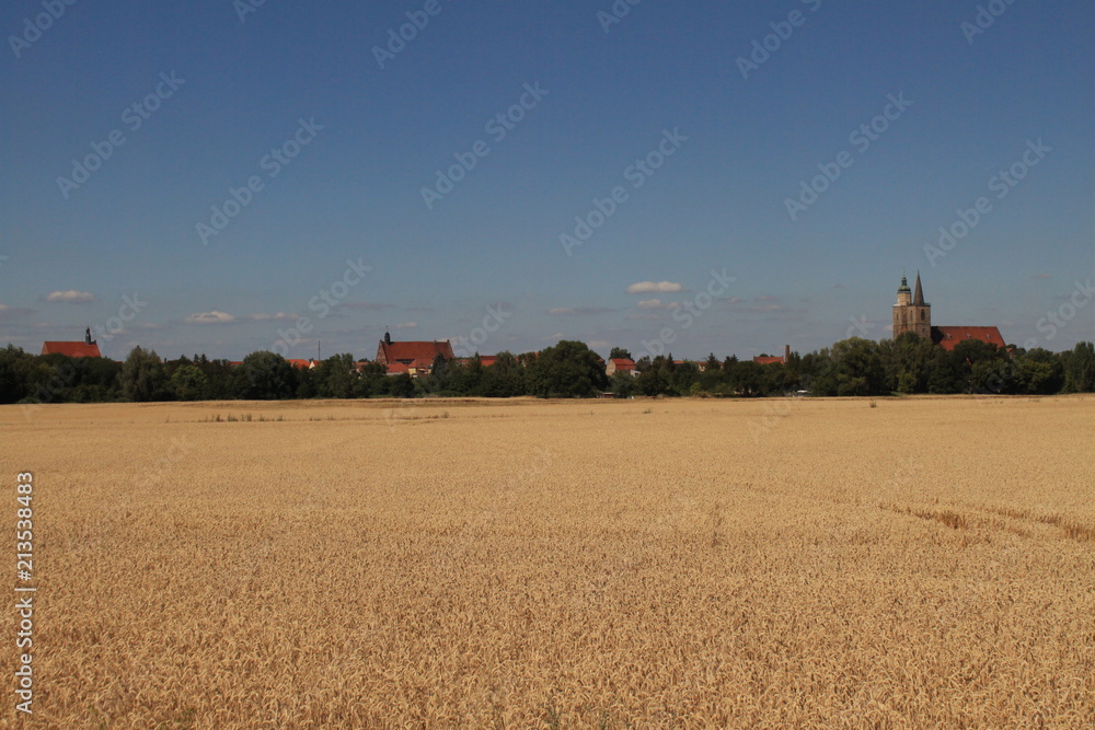 Fototapeta premium Sommer im Fläming; Blick von Süden auf Jüterbog
