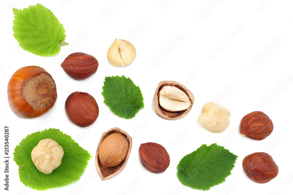hazelnuts with leaves isolated on white background. top view hazelnuts with leaves isolated on white background. top view