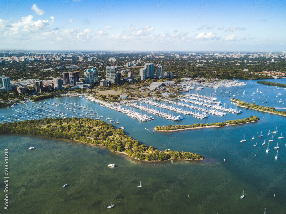 Fototapeta premium Coconut Grove