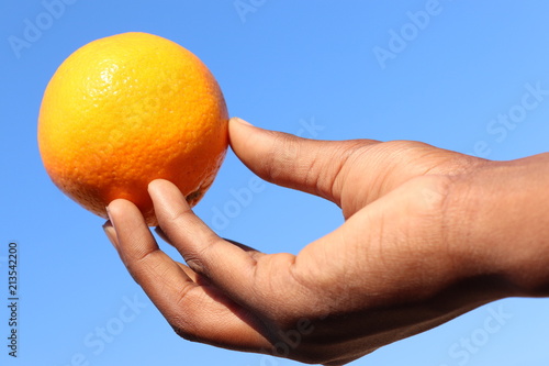 orange fruit with a hand holding