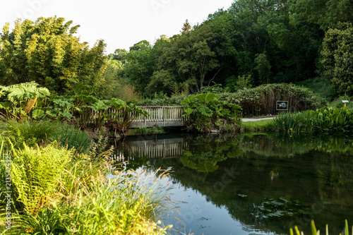 Botanical Garden Le Vallon du Stang Alar Brest France 27 may 2018 - small lake and bridge Summer season