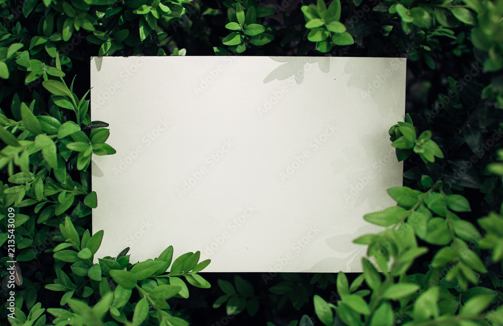 concept Flowers and leaves with paper card note .-vintage style picture and vintage color concept Flowers and leaves with paper card note .-vintage style picture and vintage color