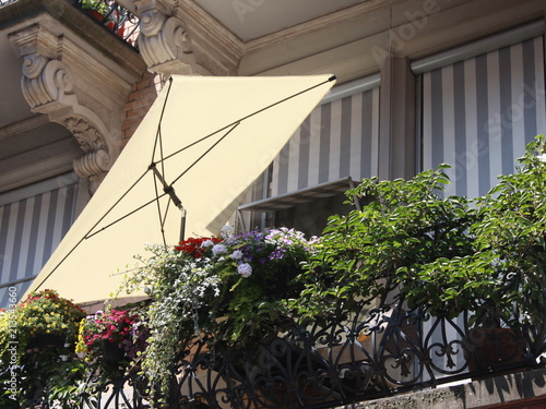 white sun blind on a balcony with plants