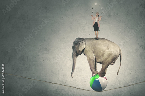Female entrepreneur with lamps and an elephant photo