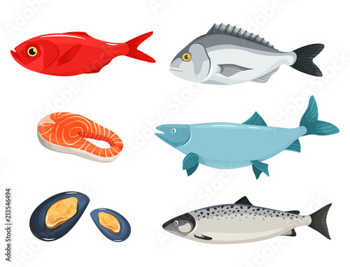 A set of seafood, a different kind of fish, salmon, mussels, dorado. Vector illustration of a cartoon style is isolated on a white background.