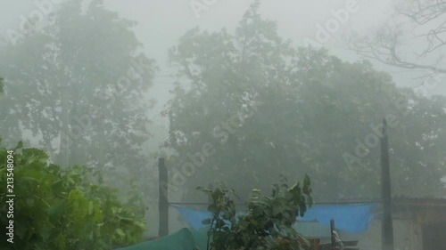 A terrible suburban storm and a downpour. A summer storm with strong winds.