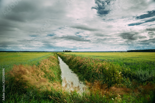 Canvas Print Countryside Landscape With Ameliorative Canal Ditch In Green Agricultural Field Meadow