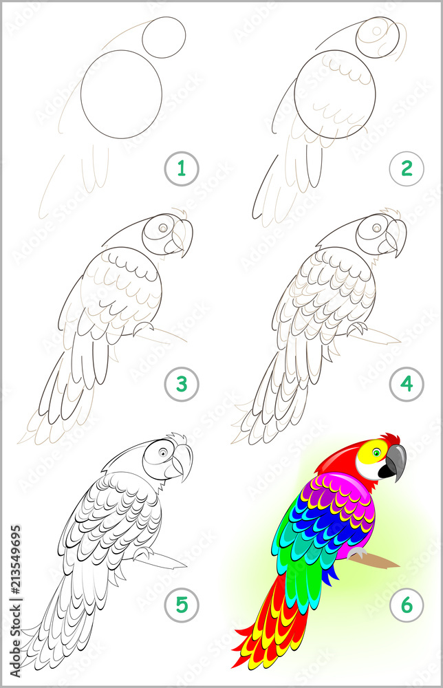 How to Draw a Parrot - How to Draw Easy-saigonsouth.com.vn