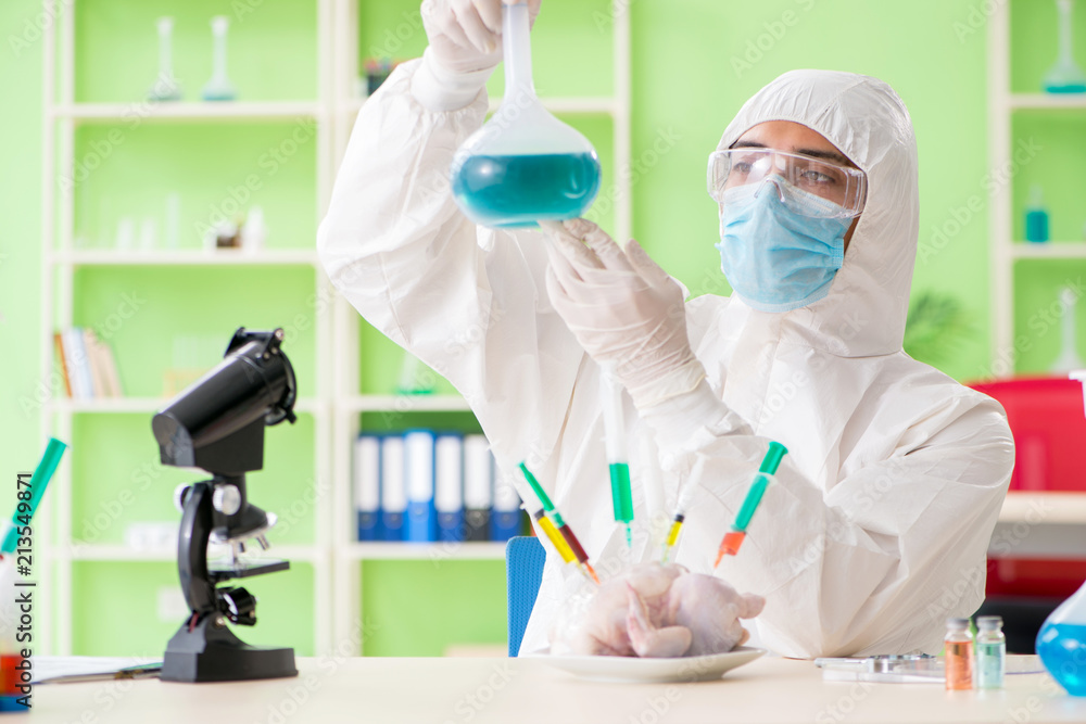 Lab assistant testing GMO chicken Lab assistant testing GMO chicken