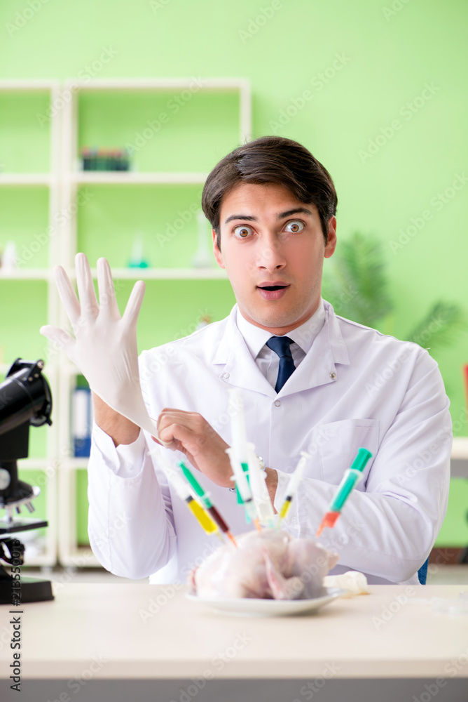 Lab assistant testing GMO chicken Lab assistant testing GMO chicken
