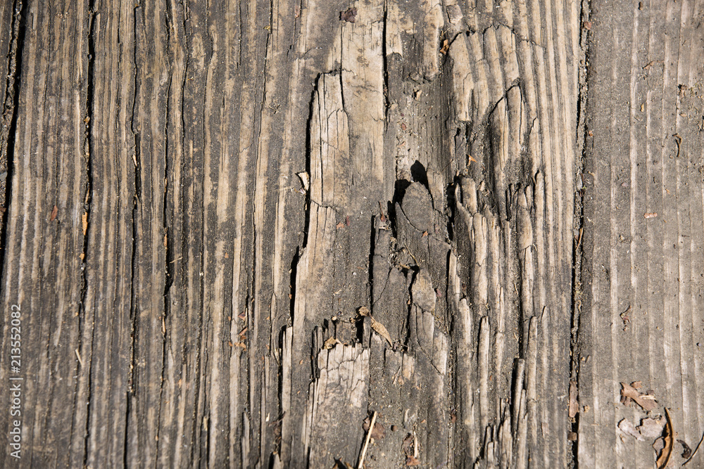 Close-up wood texture for background Close-up wood texture for background