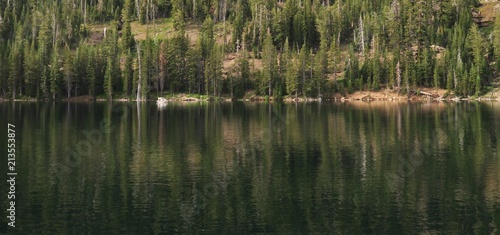 Picture of Trees on Lake