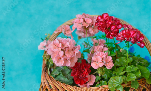 Fototapeta Naklejka Na Ścianę i Meble -  Basketful of garden flowers for summer background