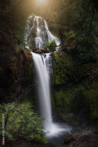 Waterfall in Washington s Gifford Pinchot Forest