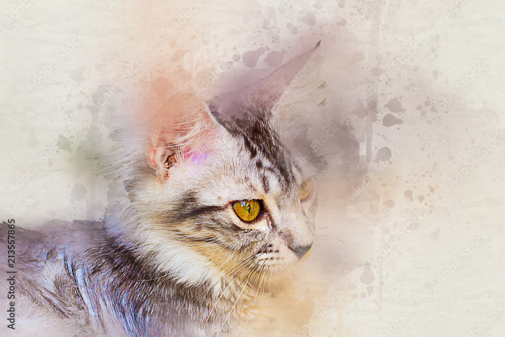 Obraz Portret akwarela z pręgowany kot. kolor farby sztuka na płótnie dla tła