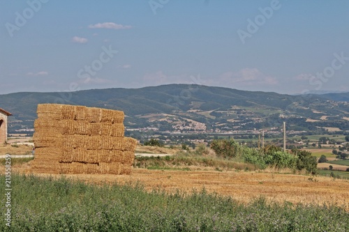 Fieno en el campo photo