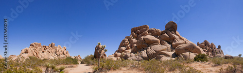 Joshua Tree Boulder formation panoramic