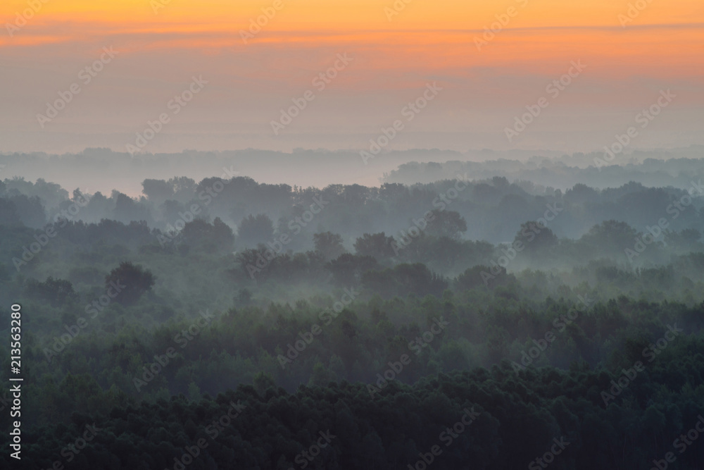 Fototapeta premium Mistyczny widok z góry na las we mgle wczesnym rankiem. Mgła wśród warstw z sylwetek drzew w tajdze pod niebem przedświtu. Spokojny poranek nastrojowy minimalistyczny krajobraz majestatycznej przyrody.