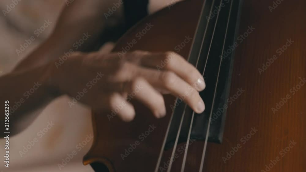 A female cellist plucks the strings of a cello while playing in a string quartet A female cellist plucks the strings of a cello while playing in a string quartet