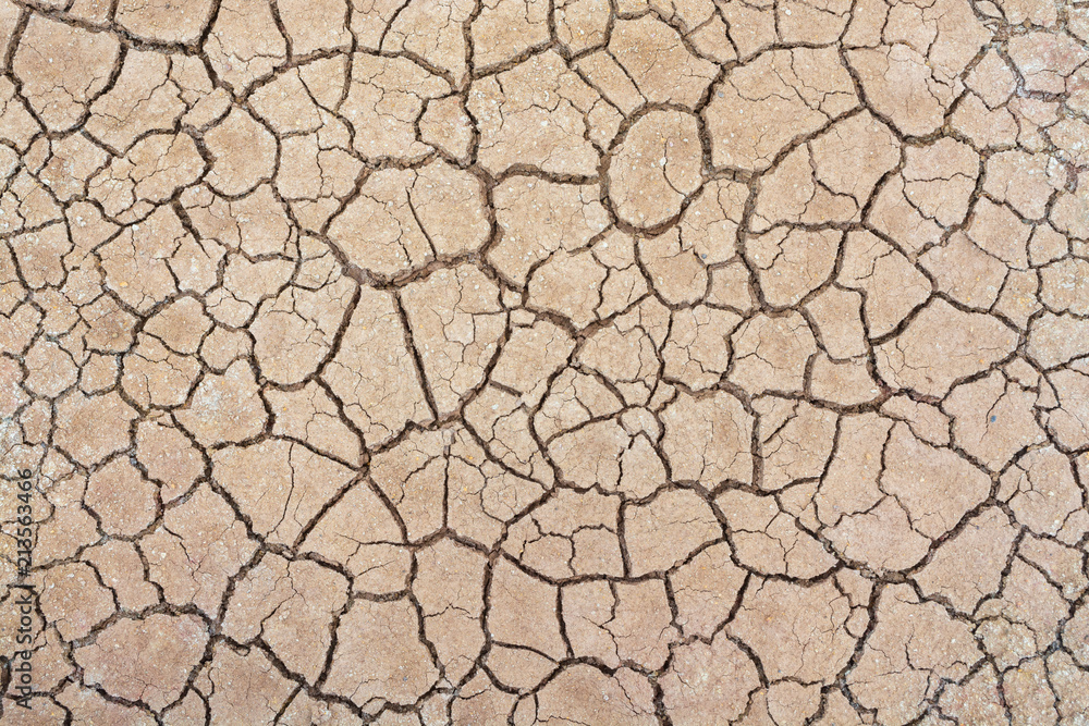 Soil drought cracks texture white background for design Soil drought cracks texture white background for design