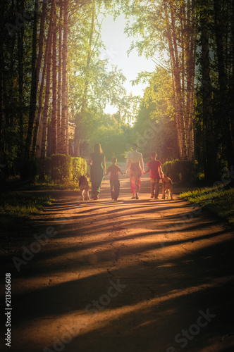 Evening summer landscape city park with silhouettes mothers and children with dogs walking along alley in sunlight. Rear view.