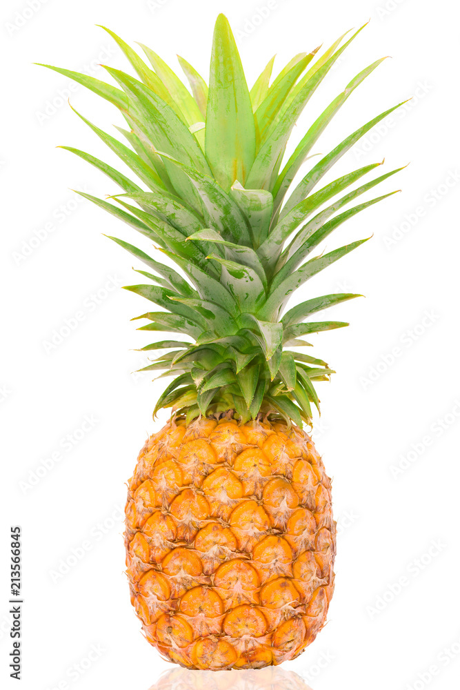 single closeup pineapple.ripe pineapple isolated on white background.one beautiful pineapple.