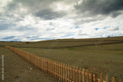 pasture Peaceful Mongolia