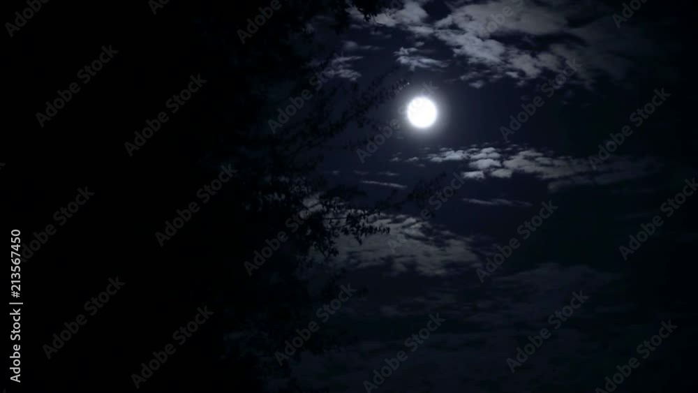 full moon landscape at night full moon landscape at night